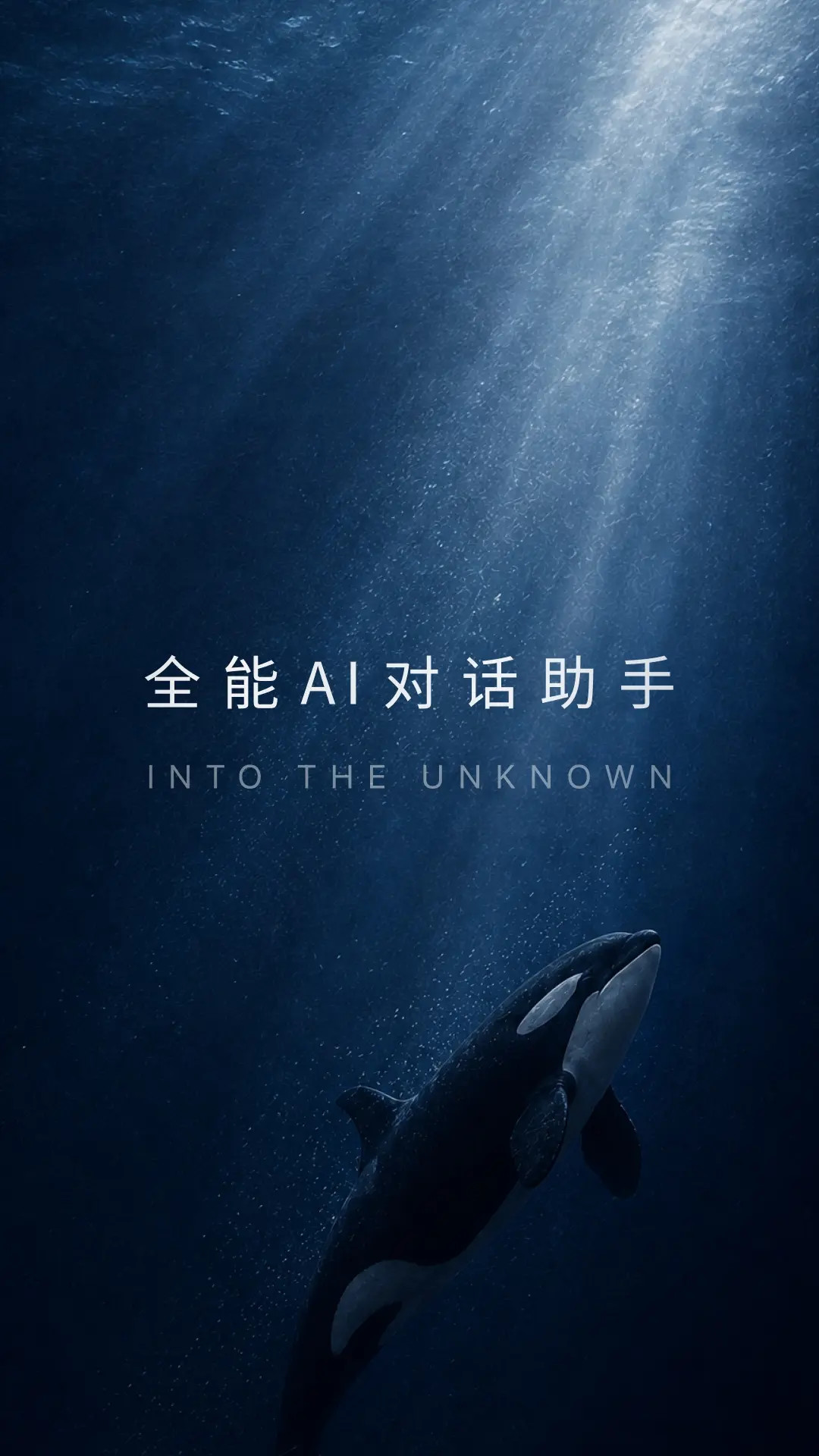 DeepSeek 截图1