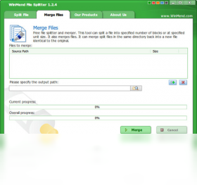 WinMendFileSplitter 截图2