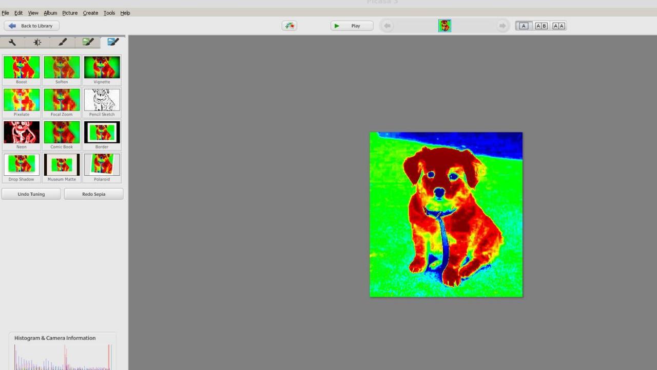 Picasa 截图3