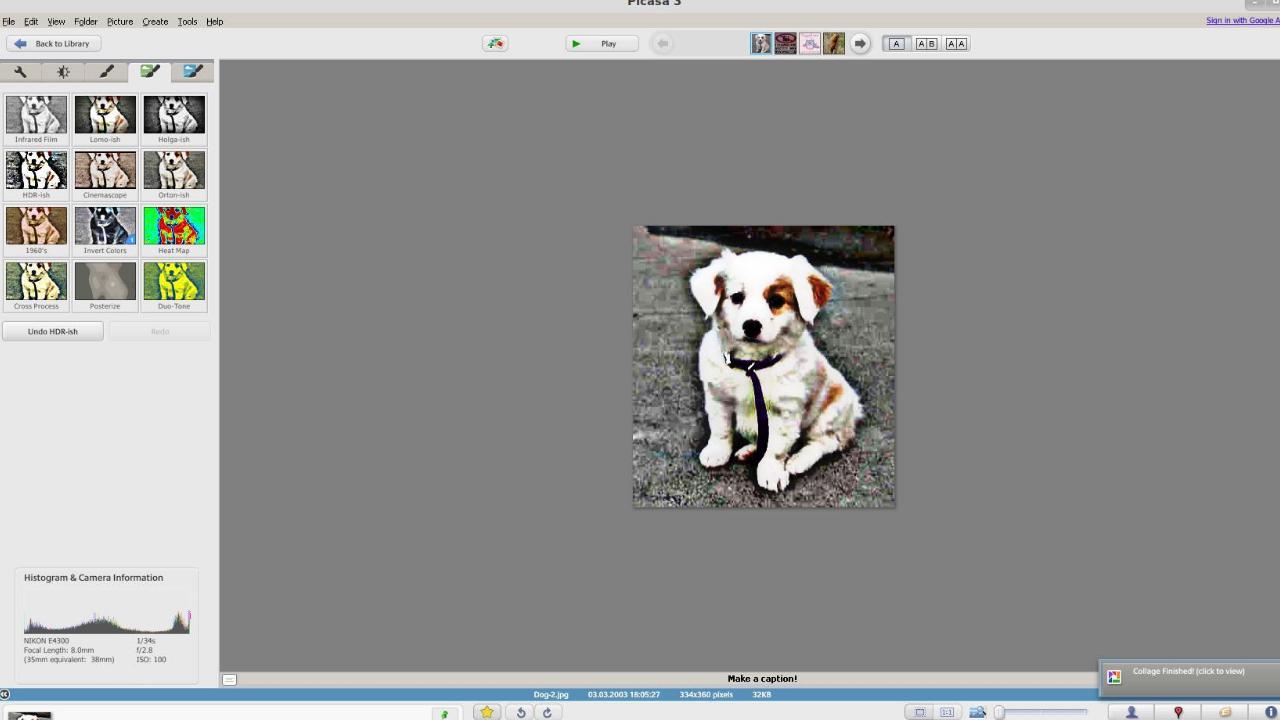 Picasa 截图1