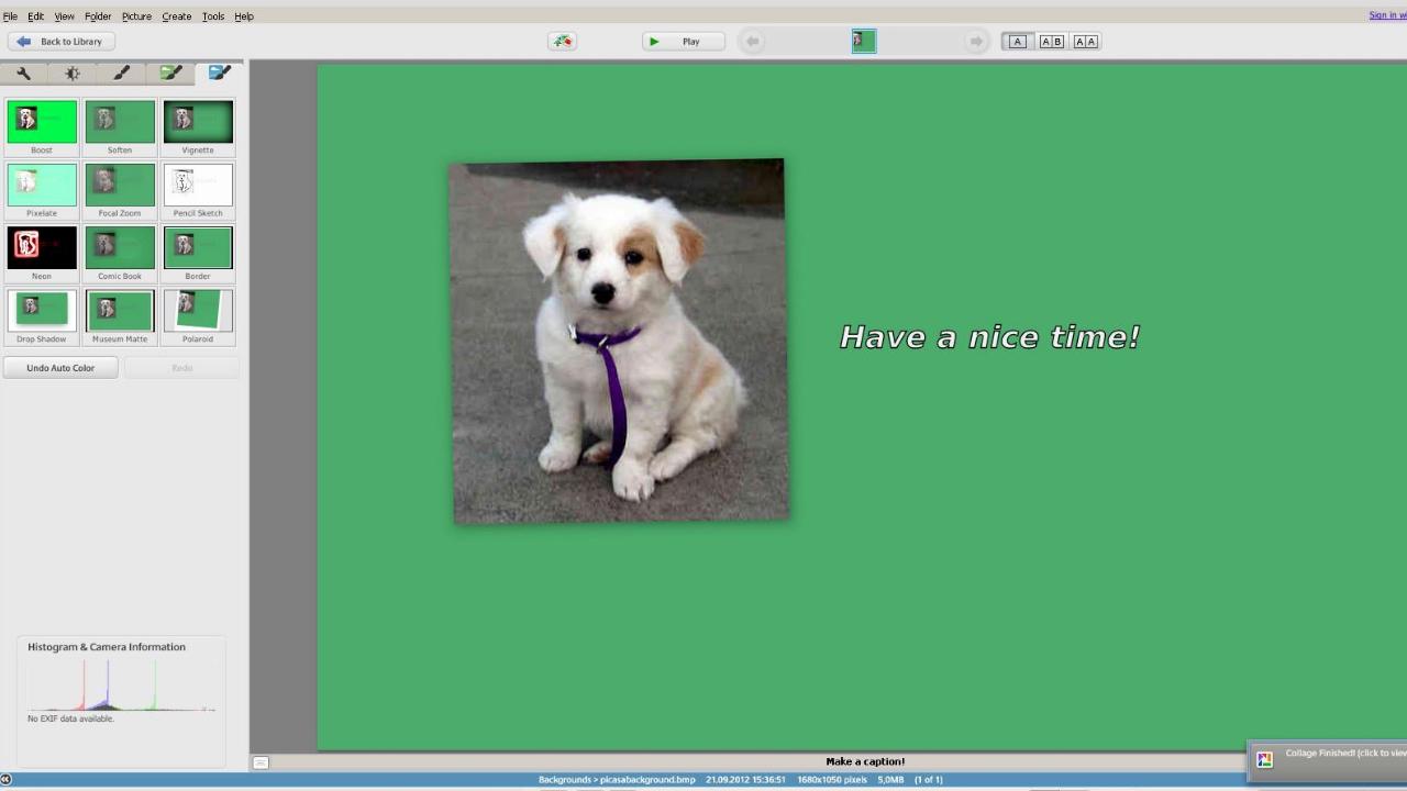 Picasa 截图2