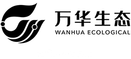 万华生态